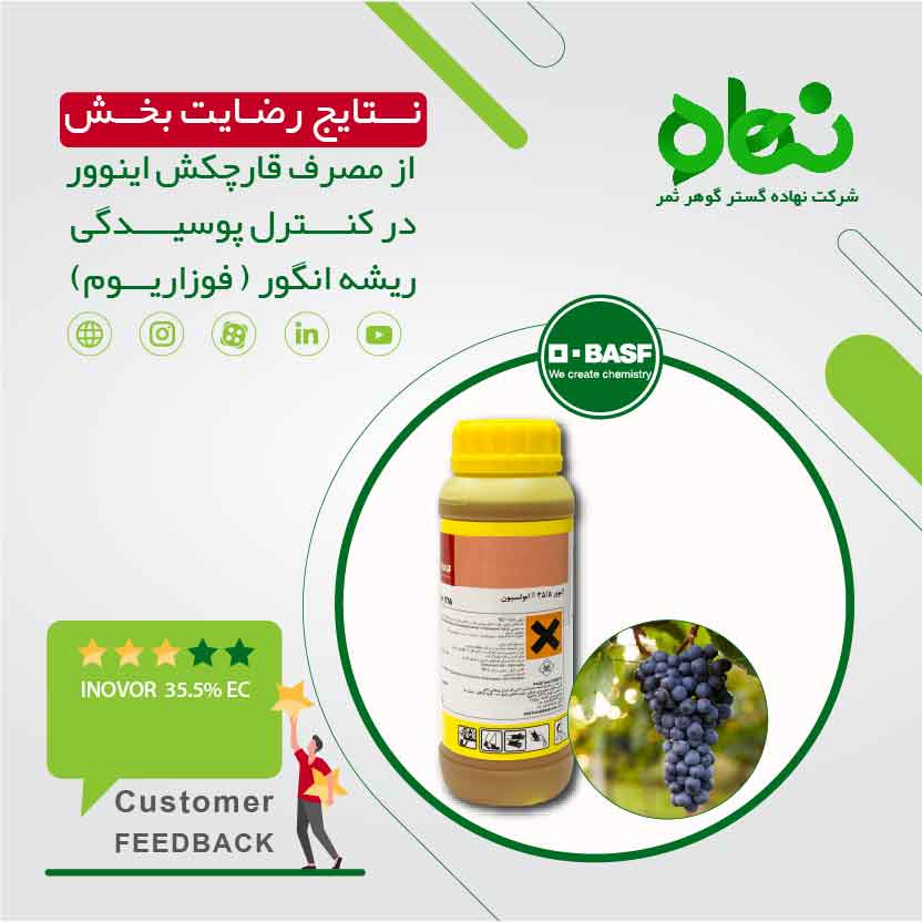  نتایج رضایت بخش از مصرف قارچکش اینوور در کنترل پوسیدگی ریشه انگور (فوزاریوم)